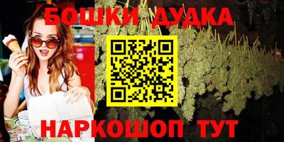 стаф Шелехов