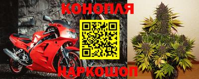 стаф Шелехов