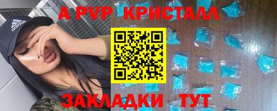 стаф Шелехов