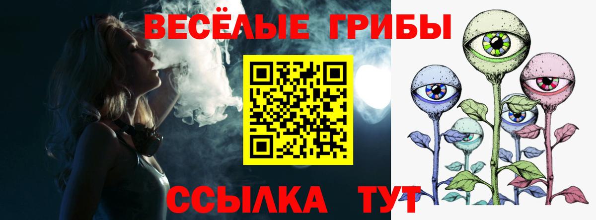Псилоцибиновые грибы MAGIC MUSHROOMS Котельники